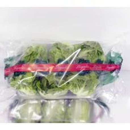 CORAZON LECHUGA MIMAFLOR 6u. CORAZON LECHUGA MIMAFLOR 6u.