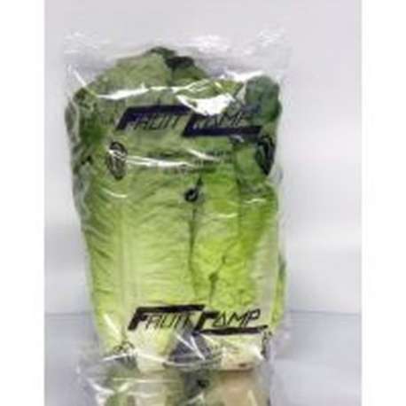 LECHUGA LARGA MIMAFLOR 2u. LECHUGA LARGA MIMAFLOR 2u.