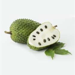 GUANABANA un.