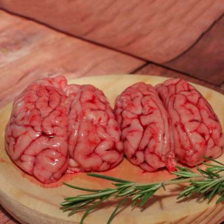 PORC CERVELL PORC CERVELL