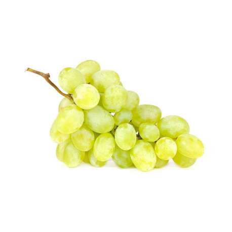 UVA BLANCA MOSACATEL ITALIA