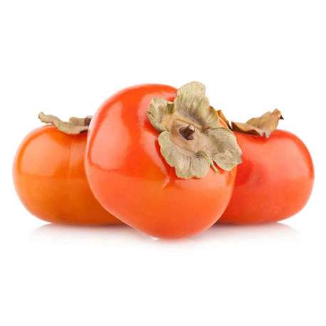 PALOSANTO TOMATERO  BANDEJA 800g aprox.