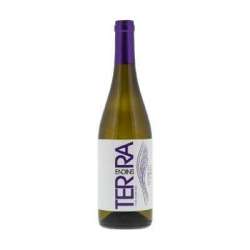 VI BLANC TERRA ENDINS 75 CL