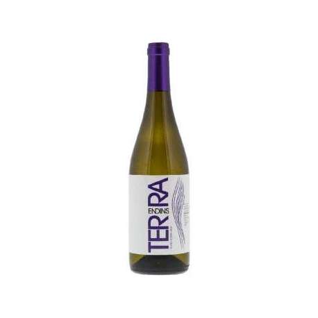 VI BLANC TERRA ENDINS 75 CL