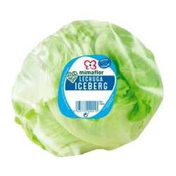 ENCIAM  ICEBERG MIMAFLOR