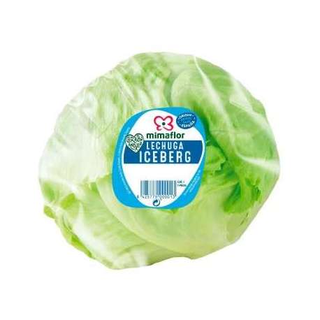 LECHUGA ICEBERG MIMAFLOR